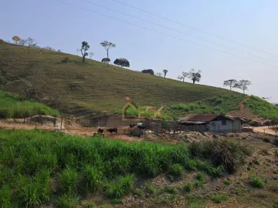Fazenda/Sítio com 3 Quartos à venda, 120m² no Zona Rural, São Luiz do Paraitinga