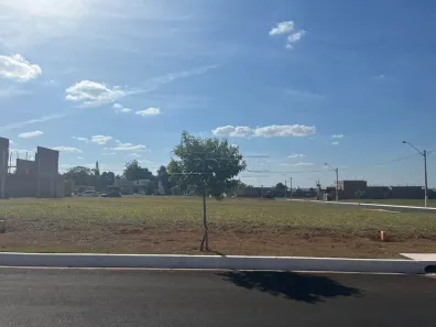 Lote/Terreno à venda, 250m² no Residencial Samambaia, São Carlos
