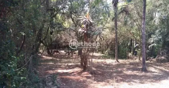 Lote/Terreno à venda, 1425m² no Centro, Campinas