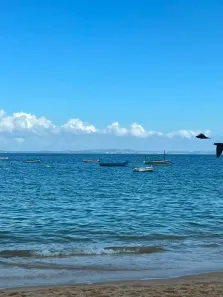 Apartamento com 1 Quarto à venda, 20m² no Barra, Salvador