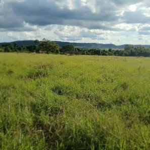 Fazenda/Sítio com 5 Quartos à venda, 96800m² no , Santo Antônio da Alegria