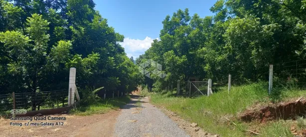 Fazenda/Sítio à venda, 230m² no , Roca Sales