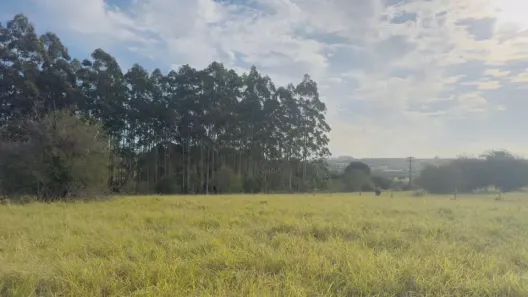 Fazenda/Sítio à venda, 800m² no Águas Claras, Viamão