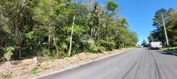 Lote/Terreno à venda, 800m² no Alpes Verdes, Canela