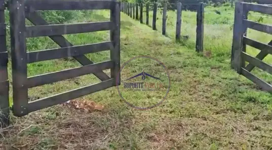 Fazenda/Sítio à venda, 60000m² no Área Rural de Porto Velho, Porto Velho