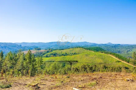 Fazenda/Sítio com 1 Quarto à venda, 2693786m² no Centro, Campo Largo