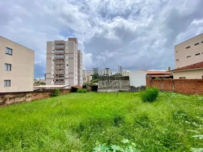 à venda, 798m² no Cidade Nova, São José do Rio Preto