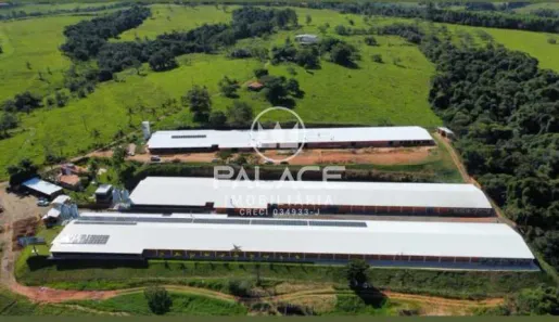 Fazenda/Sítio com 1 Quarto à venda, 12000m² no , Conchas