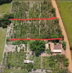 Fazenda/Sítio com 3 Quartos à venda, 10000m² no Adriana Parque, Anápolis