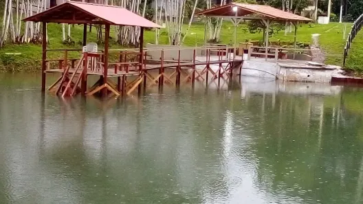 Fazenda/Sítio com 10 Quartos à venda, 500000m² no Santo Antônio do Tauá, Santo Antônio do Tauá