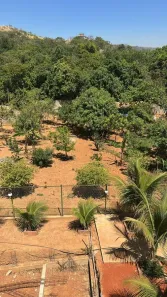 Fazenda/Sítio com 1 Quarto à venda, 4000m² no Setor Habitacional Fercal, Brasília