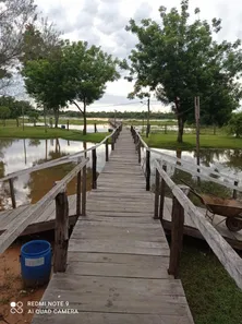 Fazenda/Sítio com 6 Quartos à venda, 960000m² no , São Miguel do Araguaia