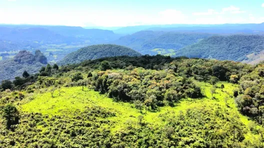 Fazenda/Sítio à venda, 79m² no , Rio Rufino