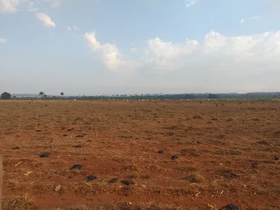 Fazenda/Sítio com 7 Quartos à venda, 4481m² no , Goiatins