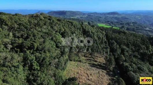 Lote/Terreno à venda, 5000m² no , Nova Petrópolis