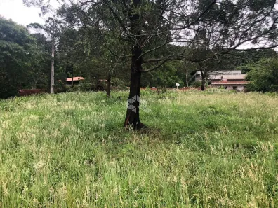 Lote/Terreno à venda, 1109m² no Nova Petrópolis, Nova Petrópolis