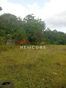Lote/Terreno à venda, 4200m² no Agulha (Icoaraci), Belém