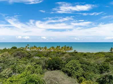 Lote/Terreno à venda, 27500m² no Serra Grande, Uruçuca