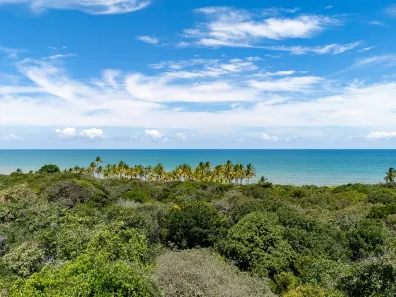 Lote/Terreno à venda, 27500m² no , Uruçuca