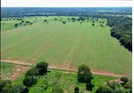 Fazenda/Sítio com 3 Quartos à venda, 229m² no , Faina