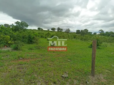 Fazenda/Sítio à venda, 1m² no , Faina