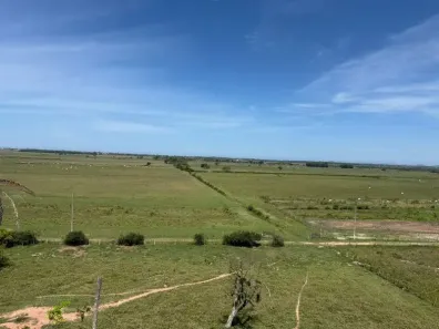 Fazenda/Sítio com 3 Quartos à venda, 1645000m² no Área Rural de Cabo Frio, Cabo Frio