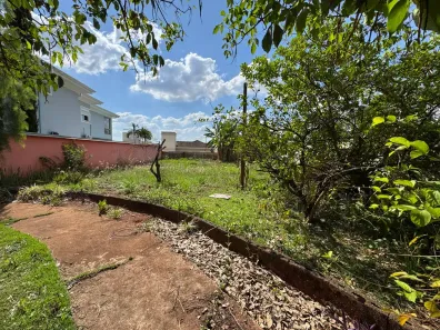 Lote/Terreno à venda, 384m² no Nova Aliança, Ribeirão Preto