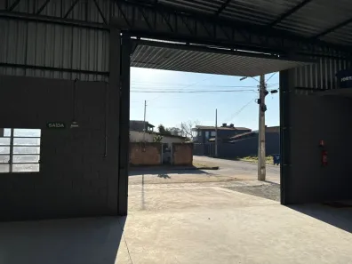 Galpão/Depósito/Armazém para alugar, 300m² no Francisca Augusta Rios, Pouso Alegre