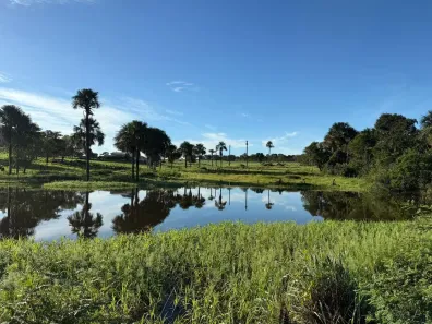 Fazenda/Sítio com 5 Quartos à venda, 34m² no , Montes Claros de Goiás