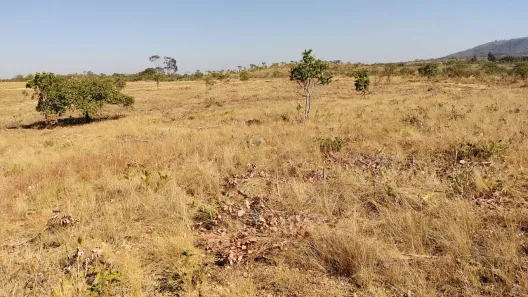 Lote/Terreno à venda, 20000m² no , Jaboticatubas