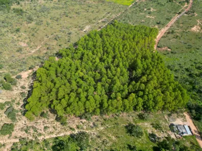 Fazenda/Sítio à venda, 30000m² no Parque Diadorim, Três Marias