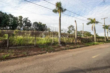 Lote/Terreno à venda, 8750m² no Parque Rural Fazenda Santa Cândida, Campinas