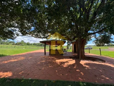 Lote/Terreno à venda, 4000m² no Chácara Recreio Nossa Senhora do Líbano (Zona Rural), São José do Rio Preto
