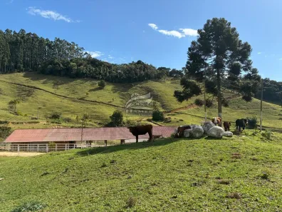 Fazenda/Sítio à venda, 339868m² no , Angelina