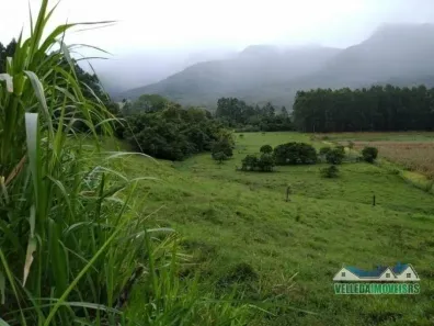Fazenda/Sítio com 1 Quarto à venda, 780000m² no Maquiné, Maquiné