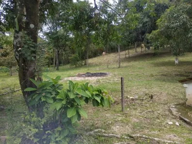 Fazenda/Sítio com 3 Quartos à venda, 40000m² no Bela Vista, Vespasiano