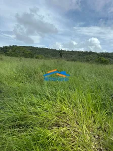 Lote/Terreno à venda, 17740000m² no , Guarantã do Norte