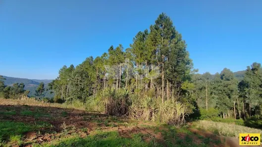 Fazenda/Sítio com 1 Quarto à venda, 37296m² no Pinhal Alto, Nova Petrópolis