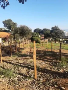 Lote/Terreno à venda, 299m² no Parque Shangri-lá, Pindamonhangaba