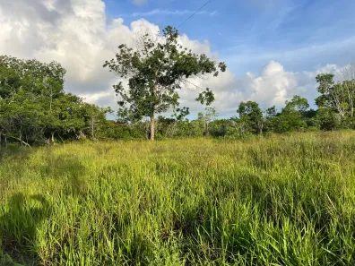 Fazenda/Sítio à venda, 1560m² no , Passo de Camaragibe