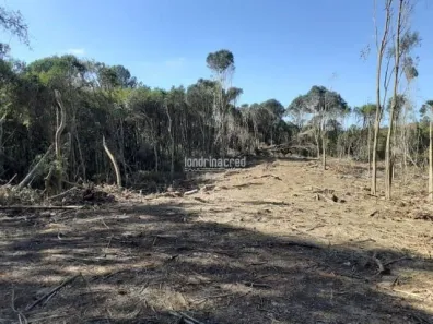 Lote/Terreno à venda, 27772m² no São Felipe, Almirante Tamandaré