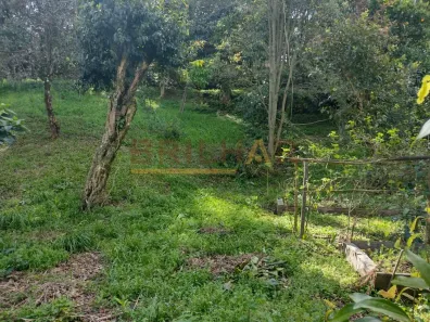 Lote/Terreno à venda, 350m² no Panazzolo, Caxias do Sul