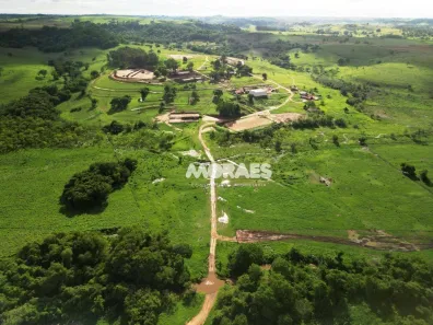 Fazenda/Sítio à venda, 8424190m² no Garça, Garça