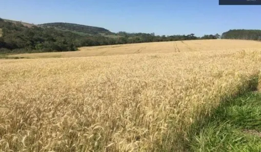 Fazenda/Sítio com 2 Quartos à venda, 1m² no , São Miguel Arcanjo
