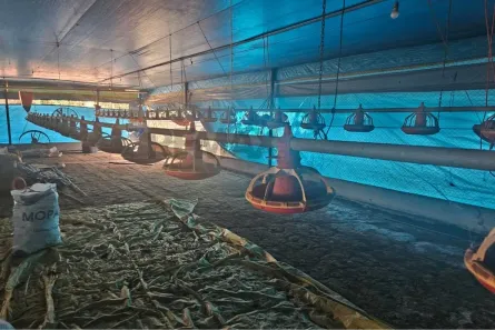 Fazenda/Sítio com 4 Quartos à venda, 1100000m² no , São Sebastião do Oeste