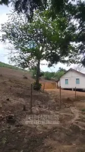 Fazenda/Sítio à venda, 6050000m² no Centro, Cardoso Moreira