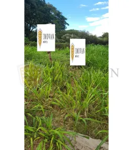 Lote/Terreno à venda, 264m² no Loteamento Santa Marta, Ribeirão Preto