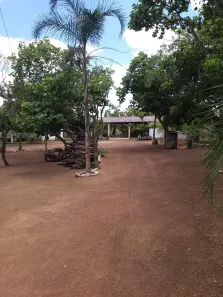 Fazenda/Sítio com 3 Quartos à venda, 20000m² no , Brasília