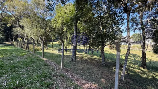 Lote/Terreno à venda, 3215m² no Santo Antônio, Campo Alegre