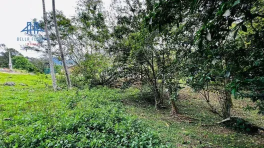 Lote/Terreno à venda, 471m² no Córrego Grande, Florianópolis